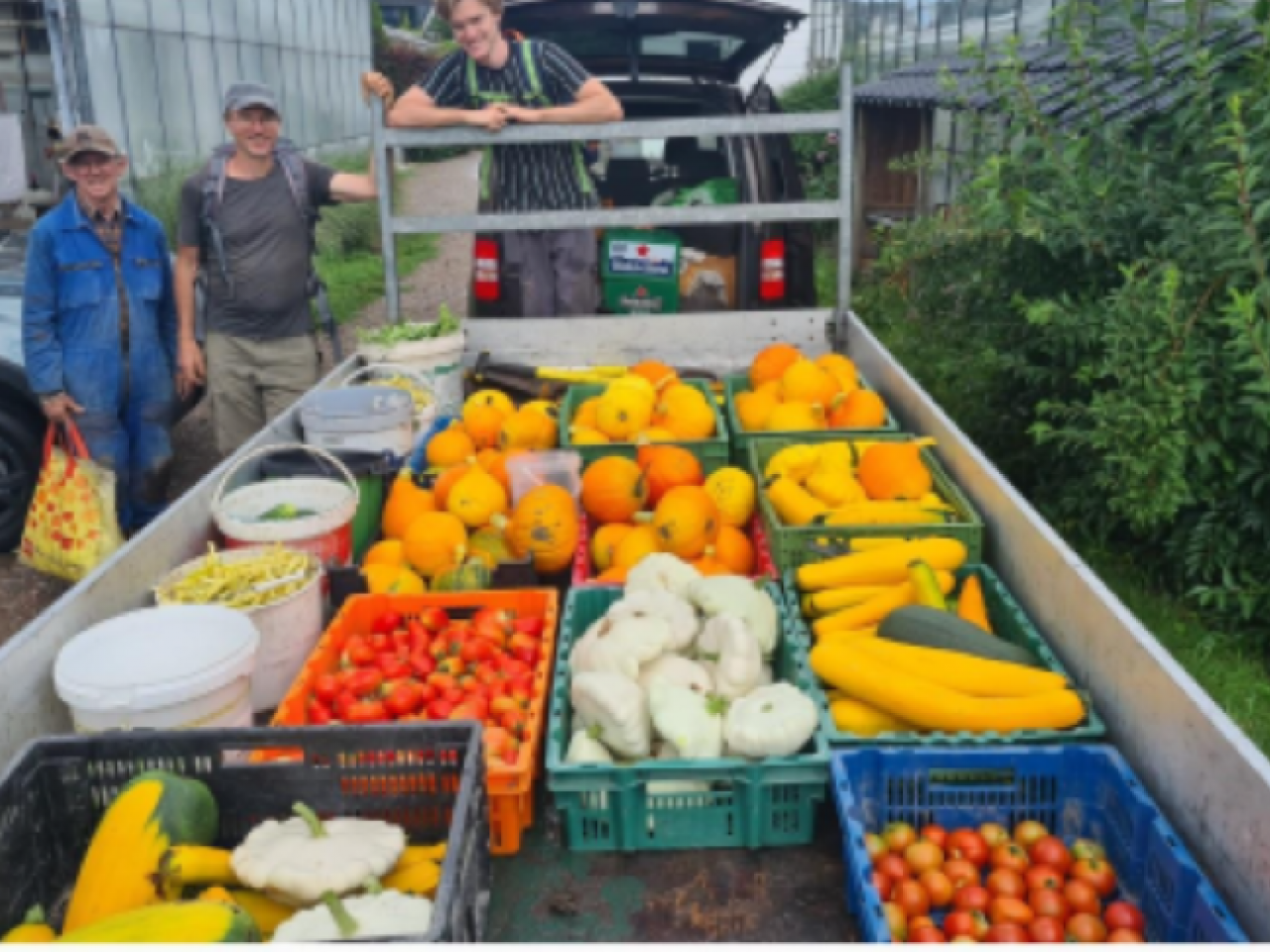 Afbeelding groente in bakjes